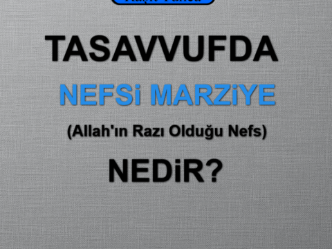 Nefs-i Marziye Nedir?