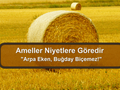 Ameller Niyetlere Göredir “Arpa Eken, Buğday Biçemez!”